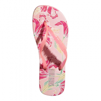 CHINELO 06C1.5225 ESTAMPADO FLORES COLORIDO FEM SANTA LOLLA