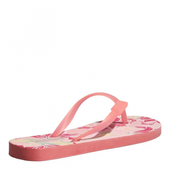 CHINELO 06C1.5225 ESTAMPADO FLORES COLORIDO FEM SANTA LOLLA