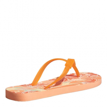 CHINELO 06C1.5225 ESTAMPADO FLORES COLORIDO FEM SANTA LOLLA